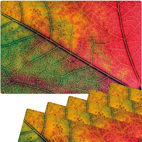 matches21 HOME & HOBBY Tischsets 6er als abwaschbare Herbst Tischdeko - Platzsets Laub modern abstrakt als Tischuntersetzer - Platzdeckchen als Tischunterlage für Esstisch Wohnzimmer Tisch von matches21 HOME & HOBBY