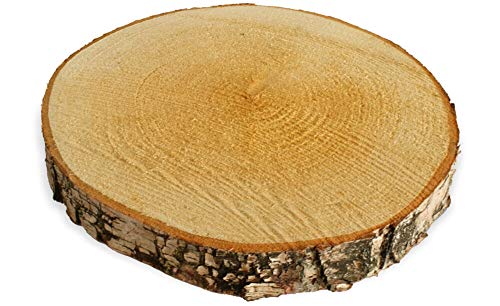 Große Holzscheibe zum Basteln oder Dekorieren - 1 Stück naturbelassene Baumscheibe aus Birkenholz mit 20 - 25 cm Durchmesser - runde Holz Birkenscheibe als Deko Holzplatte Holzdeko von matches21 HOME & HOBBY