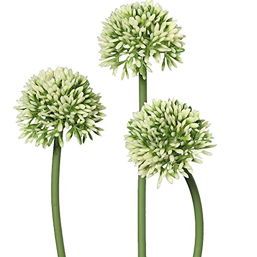 matches21 Lauchblüten Allium Kunstblumen für Blumengestecke künstliche Blumen Kunststoff 3er Bund Ø 5x34 cm - weiß-grün von matches21 HOME & HOBBY