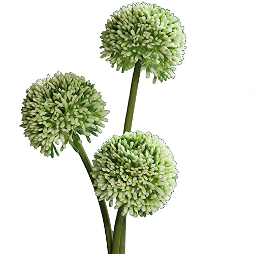 matches21 Lauchblüten Allium Kunstblumen für Blumengestecke künstliche Blumen Kunststoff 3er Bund Ø 8x46 cm - weiß-grün von matches21 HOME & HOBBY