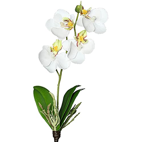 matches21 Mini Orchideen Phalaenopsis künstliche Blumen mit 4 Blüten & 2 Knospen Kunstblumen 1 STK Ø 5x26 cm - weiß von matches21 HOME & HOBBY