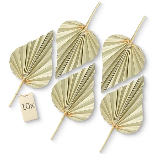 matches21 Natürliche Palmenblätter Boho Deko - 10er Set getrocknete Palmen Deko im Boho Style - Palm Spear Dschungel Deko Trockenblume 11-13 cm von matches21 HOME & HOBBY