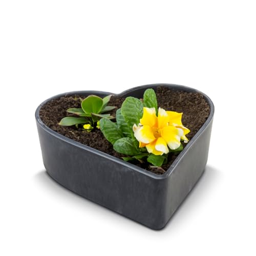 matches21 wetterfeste Pflanzschale Herz für draußen - große Dekoschale in schwarz marmoriert als Blumen-Schale - Garten-Deko Schale in 20 cm für Blumen oder Friedhof Grabschale als Grab-Schmuck von matches21 HOME & HOBBY