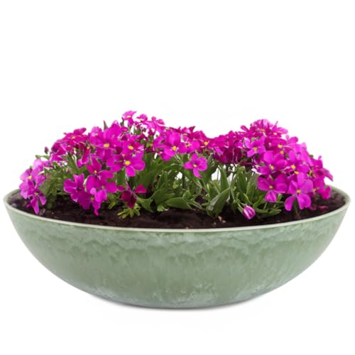 matches21 Pflanzschale für draußen - Vintage Dekoschale grün marmoriert als Blumentopf Pflanztopf - Schale in 20 x 7,5 cm als Garten Vogeltränke Balkon-Deko oder Friedhof Grabschale von matches21 HOME & HOBBY