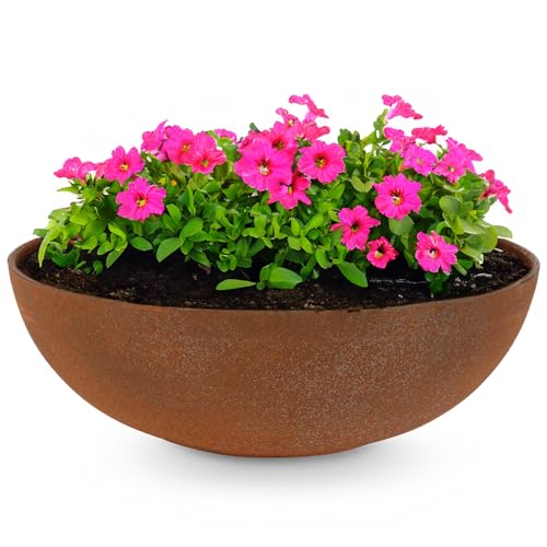matches21 Pflanzschale für draußen - große Dekoschale in Rost-Optik rost-braun als Blumentopf Pflanztopf - hohe Schale in 30 cm für Garten, Balkon oder Friedhof als Grab-Schmuck matches21 Pflanzschale für draußen - große Dekoschale in Rost-Optik rost-braun als Blumentopf Pflanztopf - hohe Schale in 30 cm für Garten, Balkon oder Friedhof als Grab-Schmuck von matches21 HOME & HOBBY