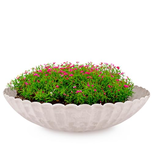 matches21 Pflanzschale für draußen - große Dekoschale sandfarben marmoriert als Blumentopf Pflanztopf - geriffelte Schale in 35 x 9 cm für Garten, Balkon oder Friedhof als Grabschale von matches21 HOME & HOBBY