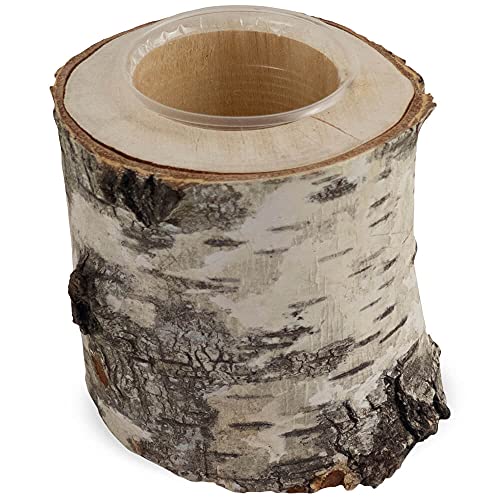 matches21 Pflanztopf Birkenstamm Holzstamm Pflanzgefäß Übertopf Blumentopf Naturdeko mit Plastikbecher 1 STK Ø 10-12x10 cm von matches21 HOME & HOBBY