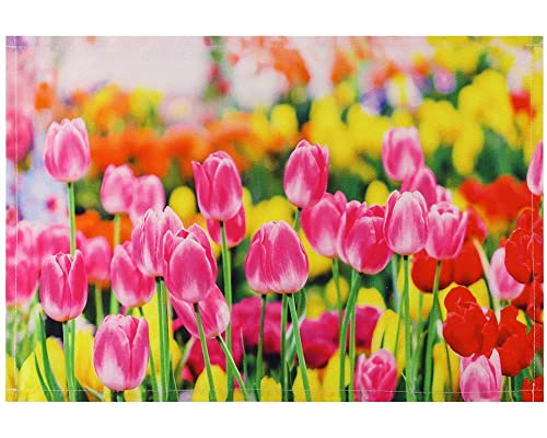 matches21 Stoff Tischset als abwaschbares Platzdeckchen - Platzset in 45 * 30 cm mit Frühling Tulpen - Waschbare Textil Esstisch Unterlage als Tischdeko auch für Wohnzimmer von matches21 HOME & HOBBY