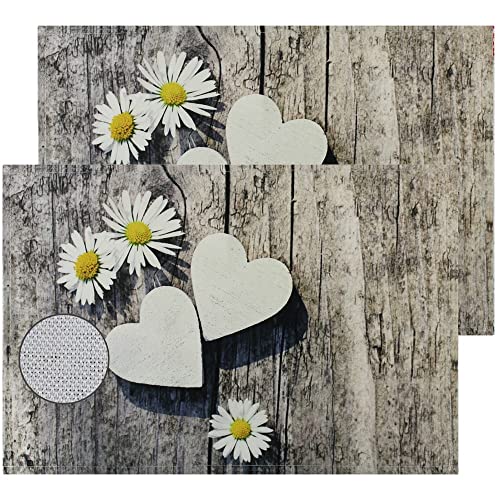 matches21 Stoff Tischsets als abwaschbare Platzdeckchen - 2 Stück Platzsets in 45 * 30 cm mit Frühling Gänseblümchen - Waschbare Textil Esstisch Unterlagen als Tischdeko auch für Wohnzimmer von matches21 HOME & HOBBY