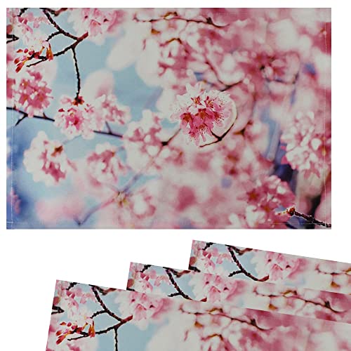 matches21 Stoff Tischsets als abwaschbare Platzdeckchen - 4 Stück Platzsets in 45 * 30 cm mit Kirschblüte Frühling - Waschbare Textil Esstisch Unterlagen als Tischdeko auch für Wohnzimmer von matches21 HOME & HOBBY