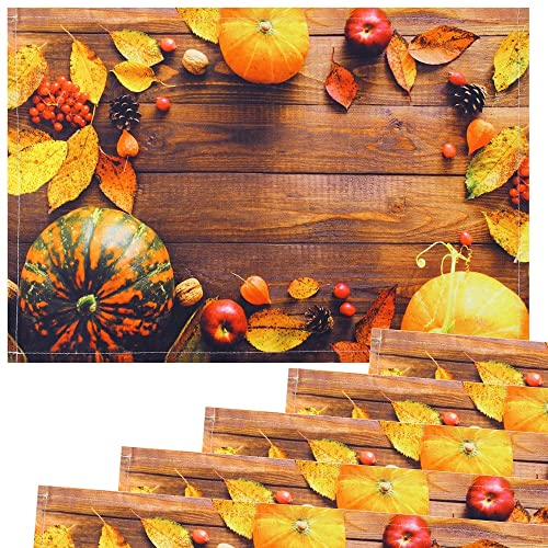 matches21 Stoff Tischsets als abwaschbare Platzdeckchen - 6 Stück Platzsets in 45 * 30 cm mit Herbst Kürbis Früchte - Waschbare Textil Esstisch Unterlagen als Tischdeko auch für Wohnzimmer von matches21 HOME & HOBBY