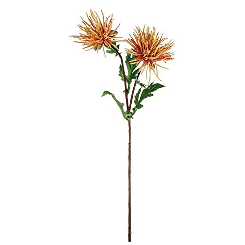 matches21 Strahlen Chrysantheme Herbstpflanze künstlich Deko Blume Kunstblume Kunstpflanze Herbst 1 STK - orange von matches21 HOME & HOBBY