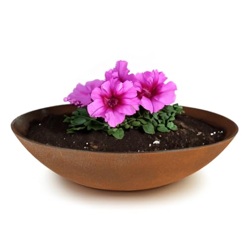 matches21 wetterfeste Pflanzschale für draussen - große Dekoschale in Rost Metall-Optik als Blumenschale - Flache Garten Schale in 35 cm für Blumen, Bonsai oder Friedhof Grab-Schmuck von matches21 HOME & HOBBY