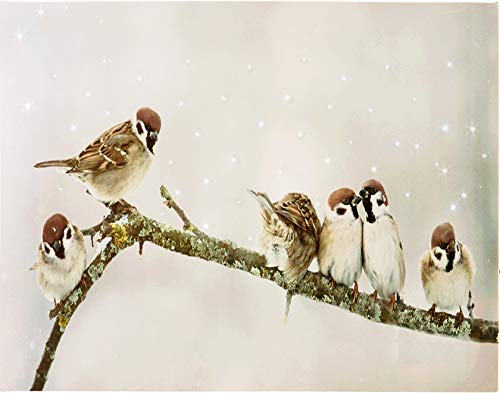 LED Bild Winter Moments - Leinwand auf Keilrahmen mit 40 LED Funkeleffekt 40x30 cm Vögel auf Zweig von matrasa