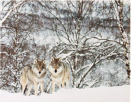 LED Bild Winter Moments - Leinwand auf Keilrahmen mit 40 LED Funkeleffekt 40x30 cm Wölfe im Wald LED Bild Winter Moments - Leinwand auf Keilrahmen mit 40 LED Funkeleffekt 40x30 cm Wölfe im Wald von matrasa