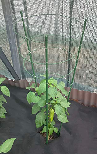 maxpack® Rankhilfe Gartenpflanze Gurkenturm Stützringe aus Legierter Stahl für Topfpflanzen Kletterpflanze Tomaten Gurke Pflanze Käfig Spalier robust (H: 60 cm) von maxpack