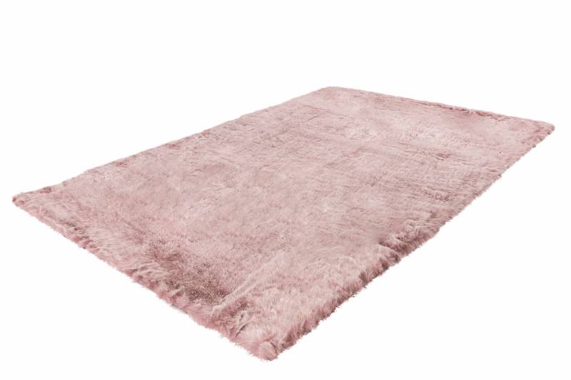 Tender 125 Puderrosa 60cm x 90cm von me gusta