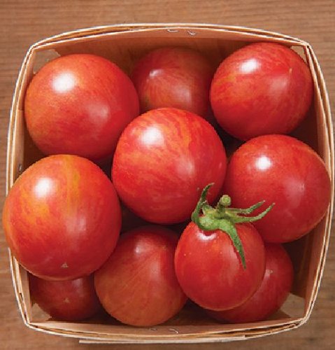 NEUE Sorte: mehrfarbige Cherrytomate mit fruchtigen vollem Cherry Aroma,von unserer ungarischen Farm samenfest, nur organische Dünger, KEINE Pesztizide, BIO hu-öko-01 von mediterranpiac