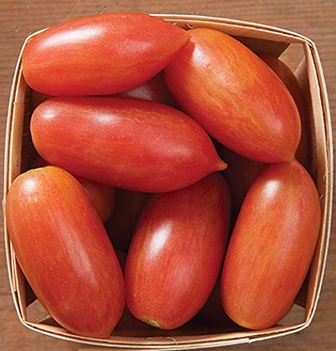Pinker Tiger, Artisan Tomate, 10 Samen, von unserer ungarischen Farm samenfest, nur organische Dünger, KEINE Pesztizide, BIO hu-öko-01 von mediterranpiac