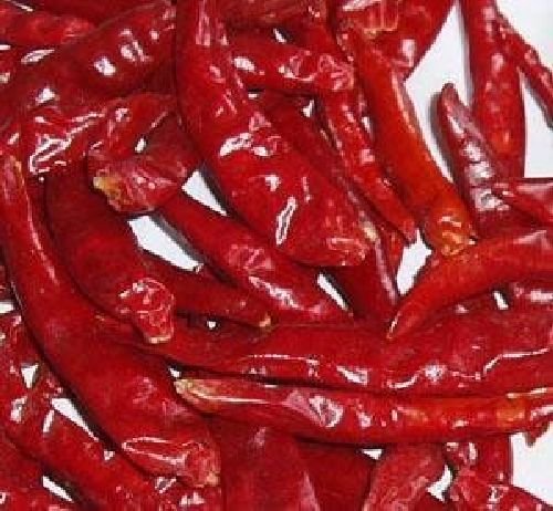 Ungarische Gewürz Paprika, schön scharf für die Suppe oder Kessel Gulasch,20 Samen, von unserer ungarischen Farm samenfest, nur organische Dünger, KEINE Pesztizide, BIO hu-öko-01 von mediterranpiac