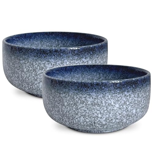 2 Stück Müslischalen Groß aus Porzellan, 950ml Keramik Ramen Schüssel Set für Küche, Servierschüsseln Müslischüsseln Suppenschalen Salatschale Pastaschüssel Schalen Bowl Set (Blue) von mehrido