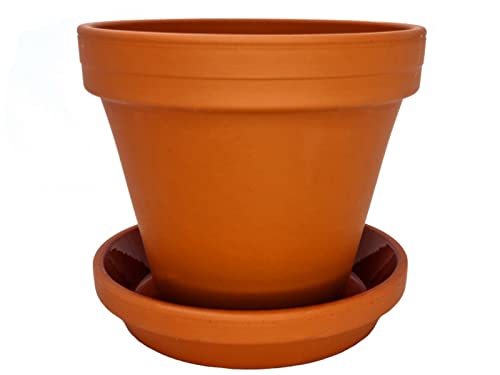 meindekoartikel 1 Topf und 1 Untersetzer aus Ton - Blumentopf Pflanzgefäß für Garten, Balkon und Zuhause (2tlg.Set - Ø 16 cm) von meindekoartikel