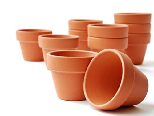 meindekoartikel 20 Tontöpfe Blumentopf Pflanztopf wiederverwendbar witterungsbeständig Verwendung im Innen- und Außenbereich/Farbe - Terracotta (Ø 10 cm) von meindekoartikel