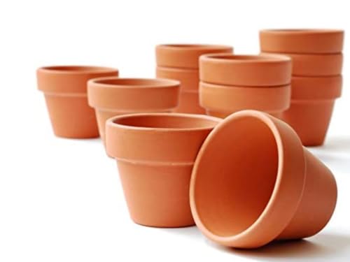 meindekoartikel 20 Tontöpfe Blumentopf Pflanztopf wiederverwendbar witterungsbeständig Verwendung im Innen- und Außenbereich/Farbe - Terracotta (Ø 4 cm) von meindekoartikel