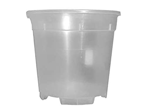 meindekoartikel Orchideentopf aus Kunststoff transparent in verschiedenen Größen (Ø 19 cm x Höhe 17 cm) von meindekoartikel