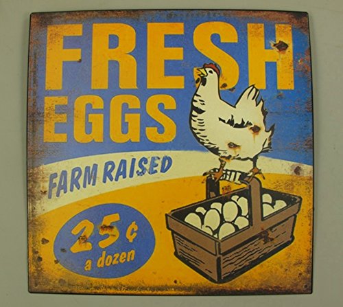 meindekoartikel Wandschild Retro Fresh Eggs H30 x B30 cm Shabby Look Used Look Blechschild Schild Wand Deko (Eisenblech) Werbeschild von meindekoartikel