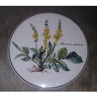 Villeroy & Boch Botanica Untersetzer 17cm Rund Villeroy & Boch Botanica Untersetzer 17cm Rund von meindesign