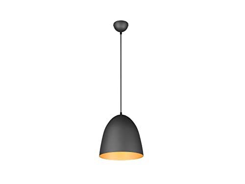 LED Pendelleuchte Küchenlampe hängend Esstischleuchte Schwarz Gold Ø 25cm LED Pendelleuchte Küchenlampe hängend Esstischleuchte Schwarz Gold Ø 25cm von meineWunschleuchte