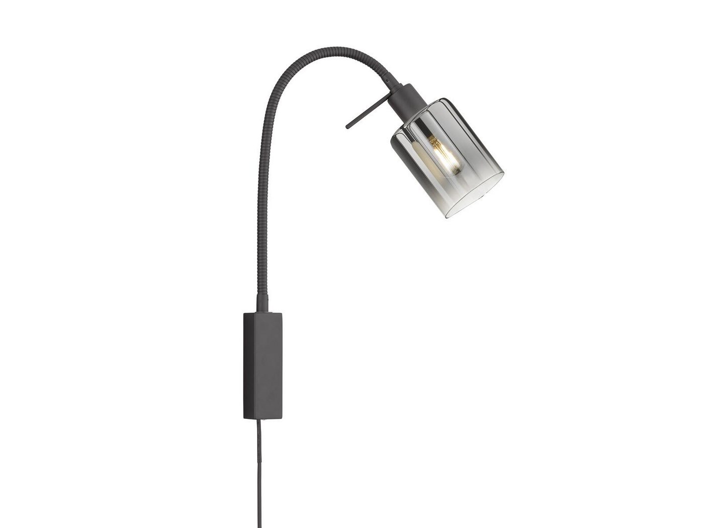 FISCHER & HONSEL LED Wandleuchte, LED wechselbar, Warmweiß, Schwanenhals Leselampe Wand-Montage & Bett-Lampe Schwarz mit Rauchglas FISCHER & HONSEL LED Wandleuchte, LED wechselbar, Warmweiß, Schwanenhals Leselampe Wand-Montage & Bett-Lampe Schwarz mit Rauchglas von FISCHER & HONSEL