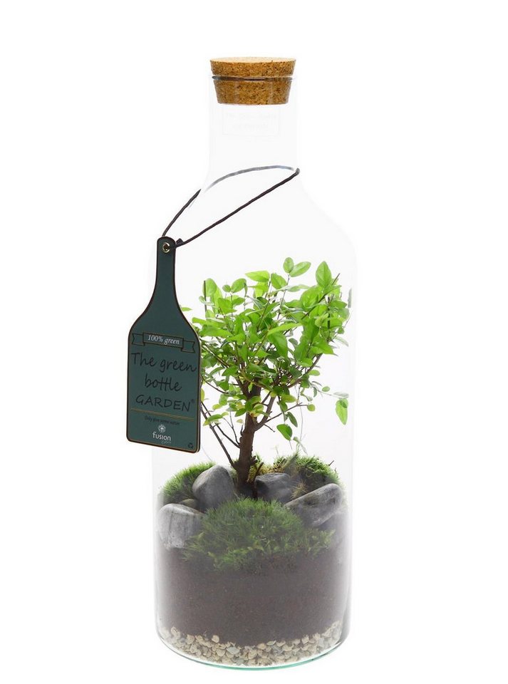 meinvipshop Dekoobjekt Green Flaschengarten 55cm XXL von meinvipshop