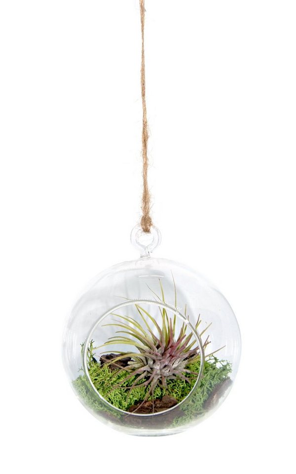 meinvipshop Hängedekoration Miniaturgarten im Glas zum aufhängen 12cm handmade" (1 St)" von meinvipshop