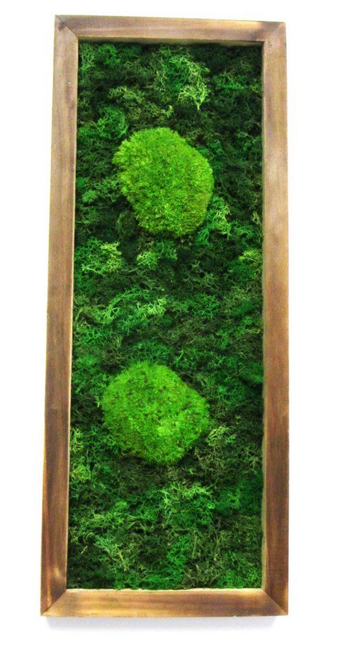 meinvipshop Wandbild Moosbild Mango Holz mit konserviertes Moos Bollenmoos 40x17cm, (1 St) von meinvipshop