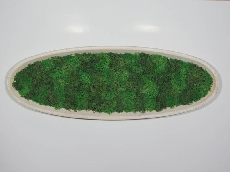 meinvipshop Wandbild Moosbild Oval XXL 50 cm von meinvipshop