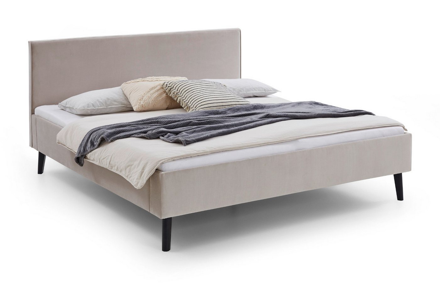 meise.möbel Polsterbett Telso (Samt in beige, Liegefläche 140x200 oder 180 x200 cm), mit Komforthöhe von meise.möbel