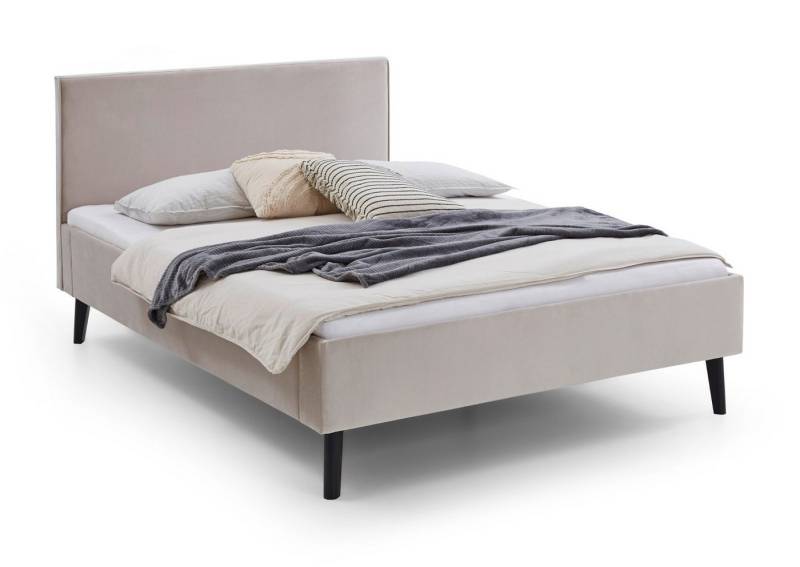 meise.möbel Polsterbett Telso (Samt in beige, Liegefläche 140x200 oder 180 x200 cm), mit Komforthöhe von meise.möbel