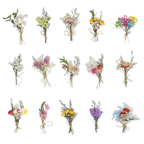 Mengger 15Pcs Bündel Getrocknete Blumenstrauß Deko Klein Natürliche Trockenblumen Natürliche Blumen Getrocknete Set DIY-Arrangement für Kunst Bastel Scrapbooking Zufällige Stil von mengger