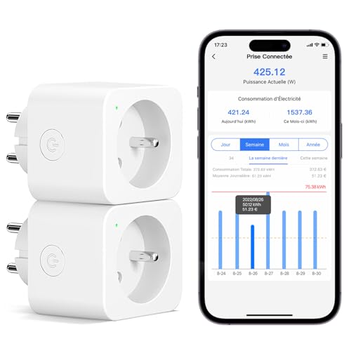Meross Intelligente Steckdose (FR), 16 A, WLAN-Steckdose, kompatibel mit Alexa und Google Home, 2 Stück, intelligente Verbrauchsmessung mit Sprachsteuerung, Fernbedienung und Bluetooth-Konfiguration von meross