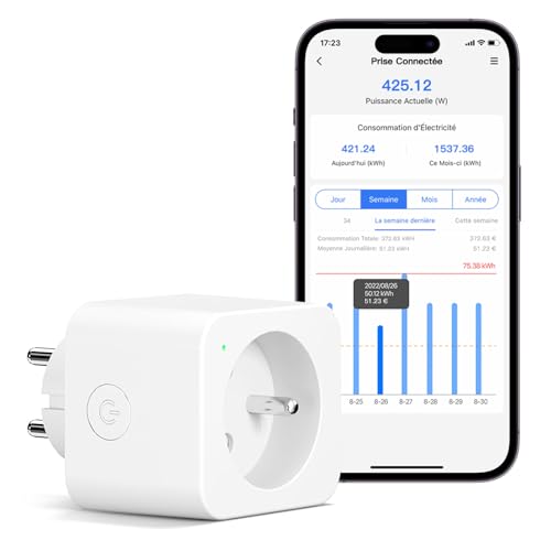 Meross Intelligente Steckdose (Typ E), 16 A, WLAN-Steckdose, kompatibel mit Alexa und Google Home, intelligente Steckdose mit Sprachsteuerung, Fernbedienung und Bluetooth-Konfiguration von meross