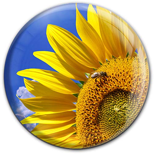 metALUm runder Acrylmagnet mit starkem Neodym - Magnet Sonnenblume #1301175 von metALUm