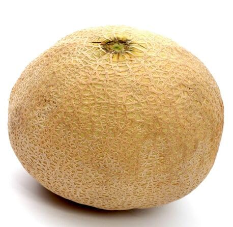 50 Stück neue frische Cantaloupe-Fruchtsamen 50 Stück neue frische Cantaloupe-Fruchtsamen von metechondra