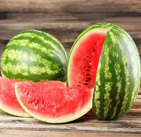 60 Stück frische rote Wassermelonenfruchtsamen 60 Stück frische rote Wassermelonenfruchtsamen von metechondra