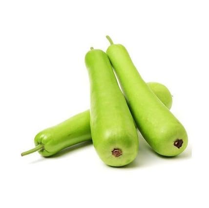 Neu Frische 10 stücke Grüne flasche kürbis gemüse samen von metechondra