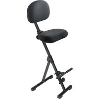meychair Stehhilfe, klappbar, Sitzhöhe 540-900 mm, Bodengleiter, schwarz, hochklappbare Aufstiegshilfe von meychair