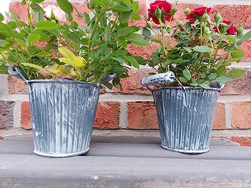 meytrade Blumentopf (2er Set) Kräuter Topf Vintage Landhaus grau blau Gartendeko Vase Eimer Übertopf Antik mit Holzgriff von meytrade