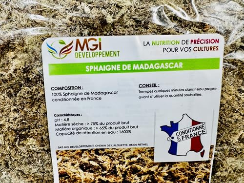 MGI Develoyment Sphaigne aus Madagascar – Pflanzensubstrat für Anzucht Hors-Sol von MGI DEVELOPPEMENT