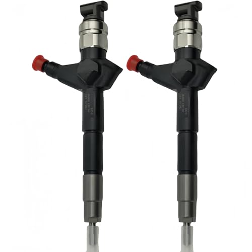 095000-6250 16600-EB70A Common-Rail-Kraftstoffeinspritzdüse, 2er-Pack, Kompatibel Mit Nissan Navara Pathfinder 2,5 L YD25 DCi DDTi (2005–2024), Passend For D22 D40-Motor von mhddhd